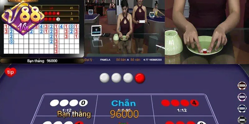 Cách chơi xóc đĩa - Khám phá luật chơi và quy tắc cơ bản