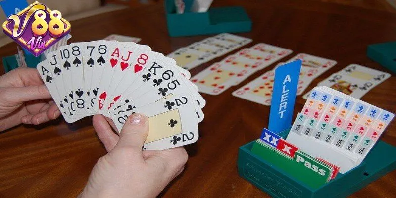 Tìm hiểu về bài bridge 